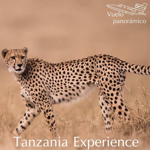 Tanzania Experience 6 días en base a 4 pax T. Baja